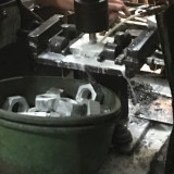 Taro Ecu